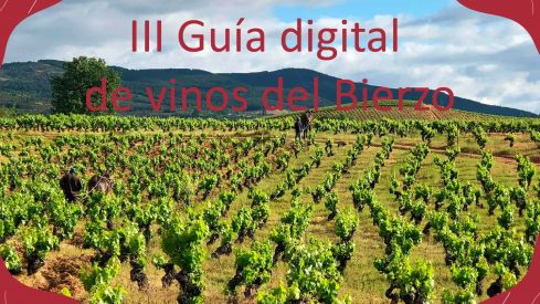 III Guía Digital de vinos del Bierzo: Selección 2026 III Guía Digital de vinos del Bierzo: Selección 2026