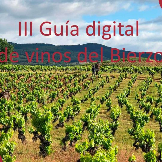 III Guía Digital de vinos del Bierzo: Selección 2026 III Guía Digital de vinos del Bierzo: Selección 2026