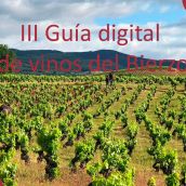 III Guía Digital de vinos del Bierzo: Selección 2026