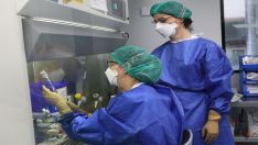 Caso confirmado de Fiebre Hemorrágica del Congo en Salamanca | ICAL Caso confirmado de Fiebre Hemorrágica del Congo en Salamanca | ICAL