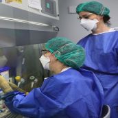 Caso confirmado de Fiebre Hemorrágica del Congo en Salamanca | ICAL
