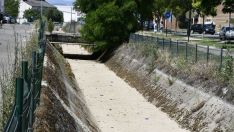 El Canal Bajo empieza a reducir su caudal tras "un año complicado" | Daniel Merino (InfoBierzo) El Canal Bajo empieza a reducir su caudal tras "un año complicado" | Daniel Merino (InfoBierzo)