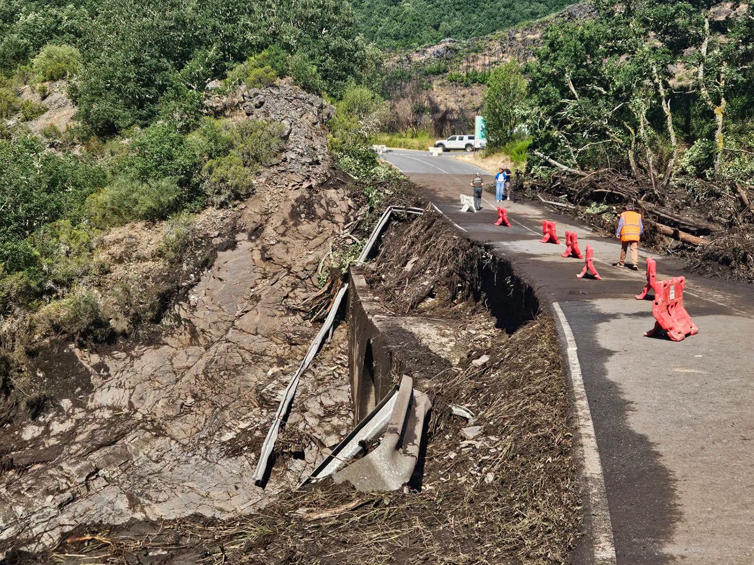 Carretera de acceso al Valle de Fornela 