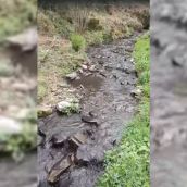 Río de Carracedo de Compludo lleno de lodo