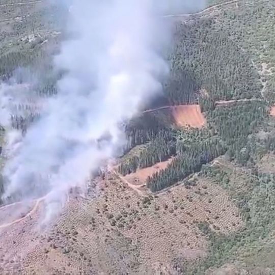 Incendio en San Vicente (Arganza)