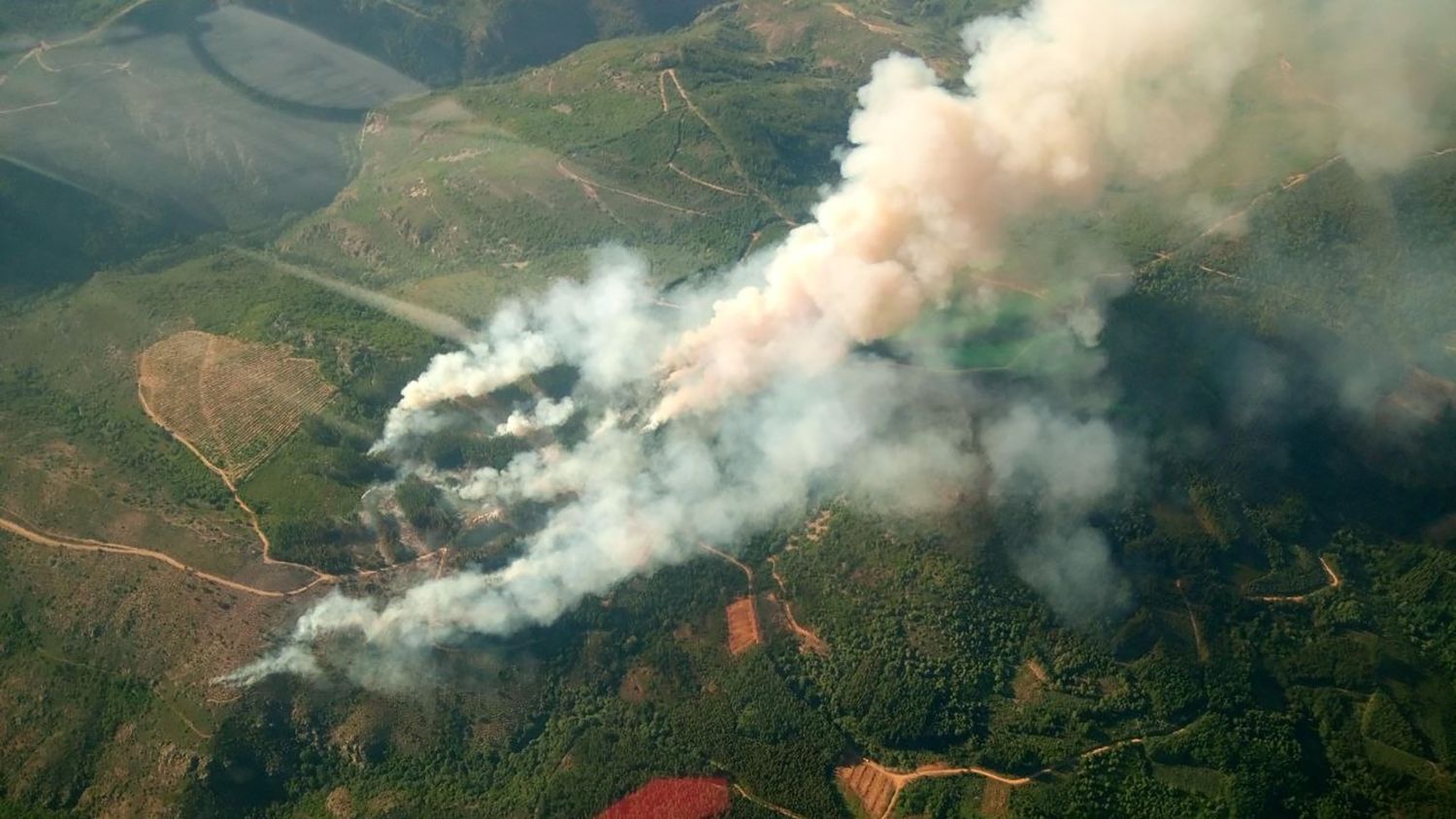 Incendio forestal en San Vicente (Arganza)