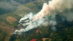 Incendio forestal en San Vicente (Arganza) Incendio forestal en San Vicente (Arganza)