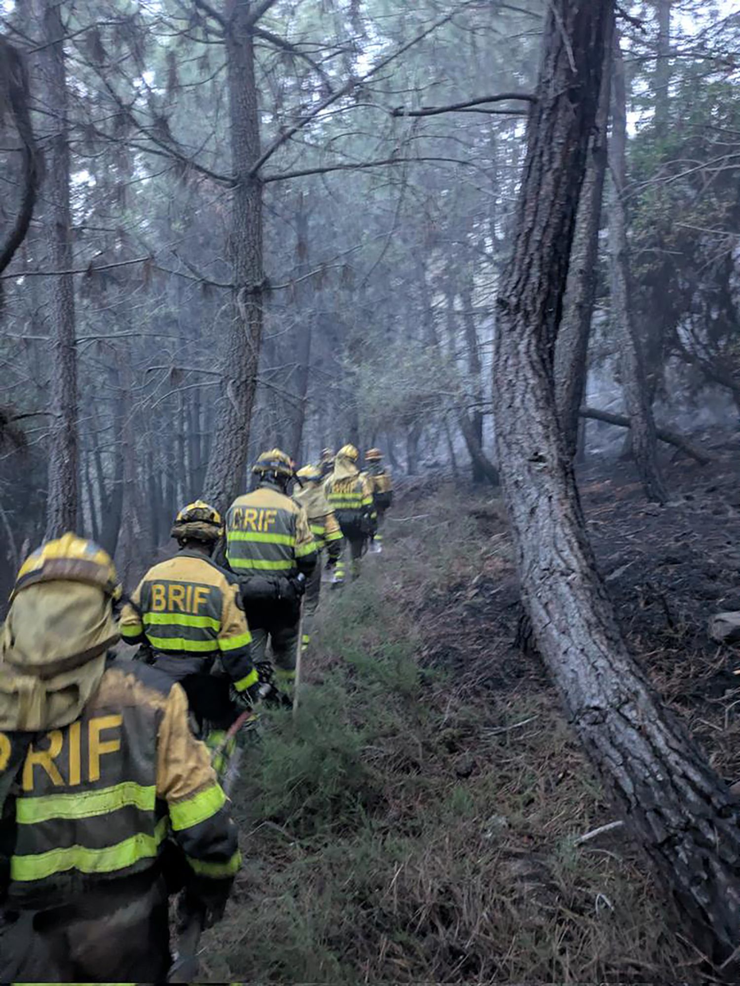 Los bomberos de la Brif Tabuyo abandonan el incendio de San Vicente (Arganza) 2