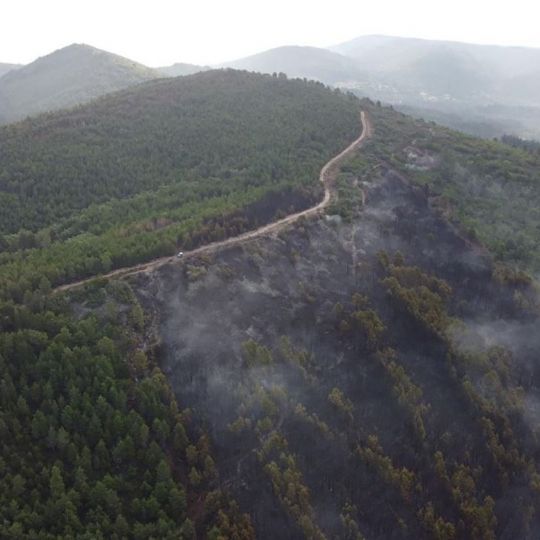 Superficie quemada en el incendio de San Vicente (Arganza) 