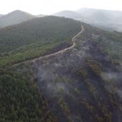 Superficie quemada en el incendio de San Vicente (Arganza) 