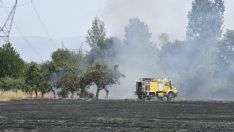 Medios terrestres trabajan en la extinción de un incencio urbano-forestal en Fuentesnuevas (Ponferrada)