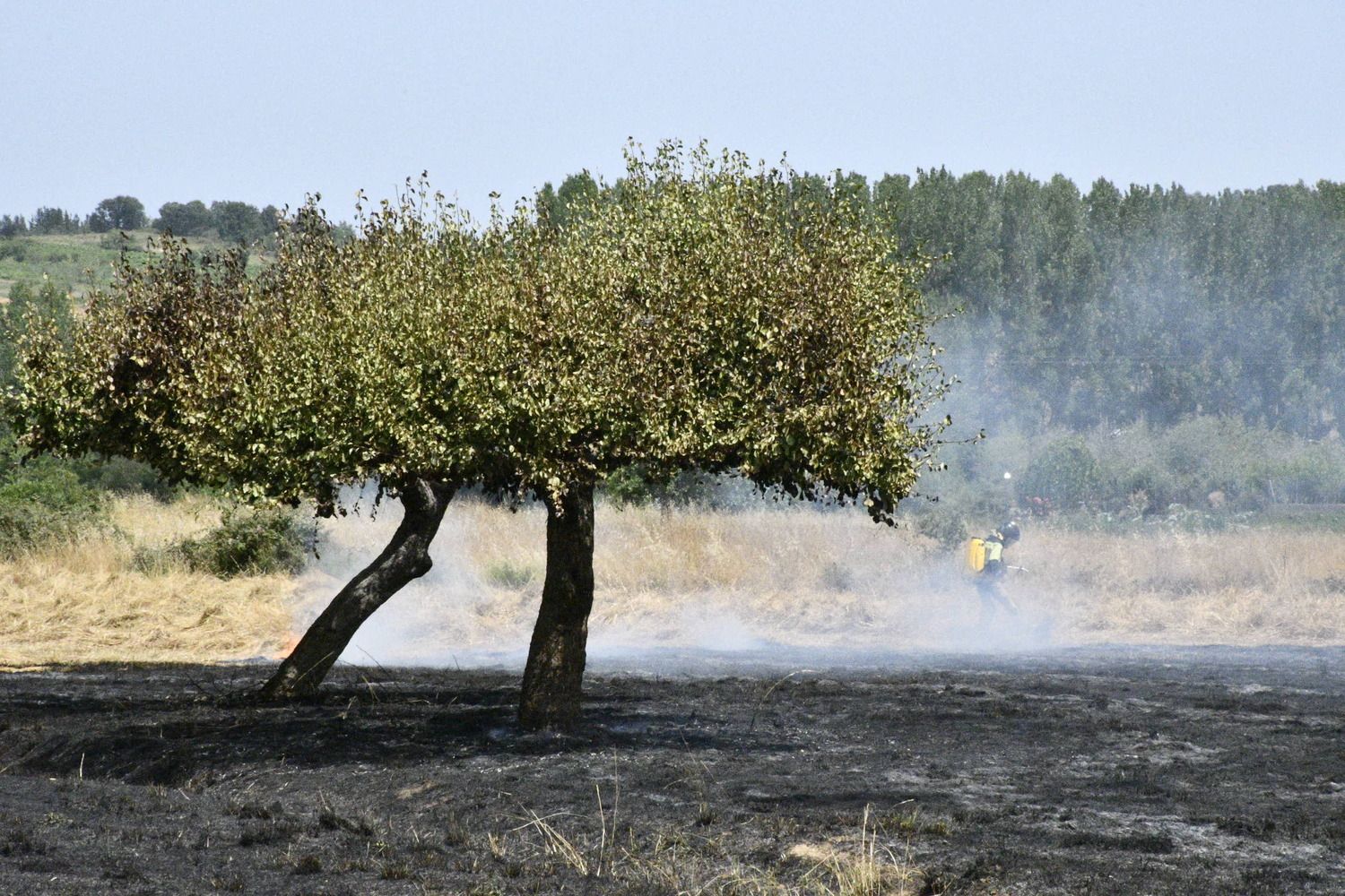 Incendio en Fuentesnuevas | Dani Merino Incendio en Fuentesnuevas | Dani Merino
