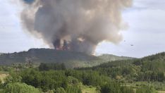 Incendio en San Vicente (Arganza)