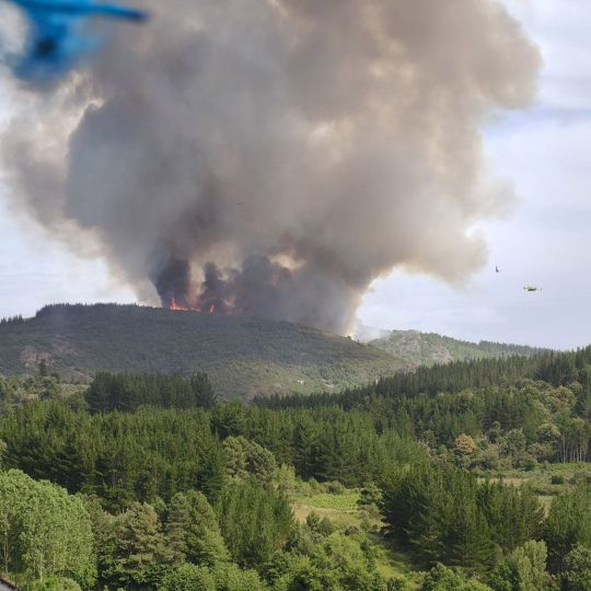 Incendio en San Vicente (Arganza)