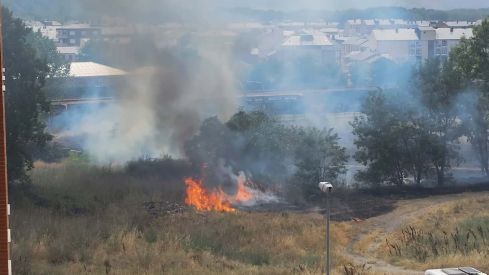 Incendio de pasto en Ponferrada Incendio de pasto en Ponferrada
