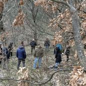 Los Ancares probarán los beneficios de los baños de bosque en personas con Alzheimer incipiente