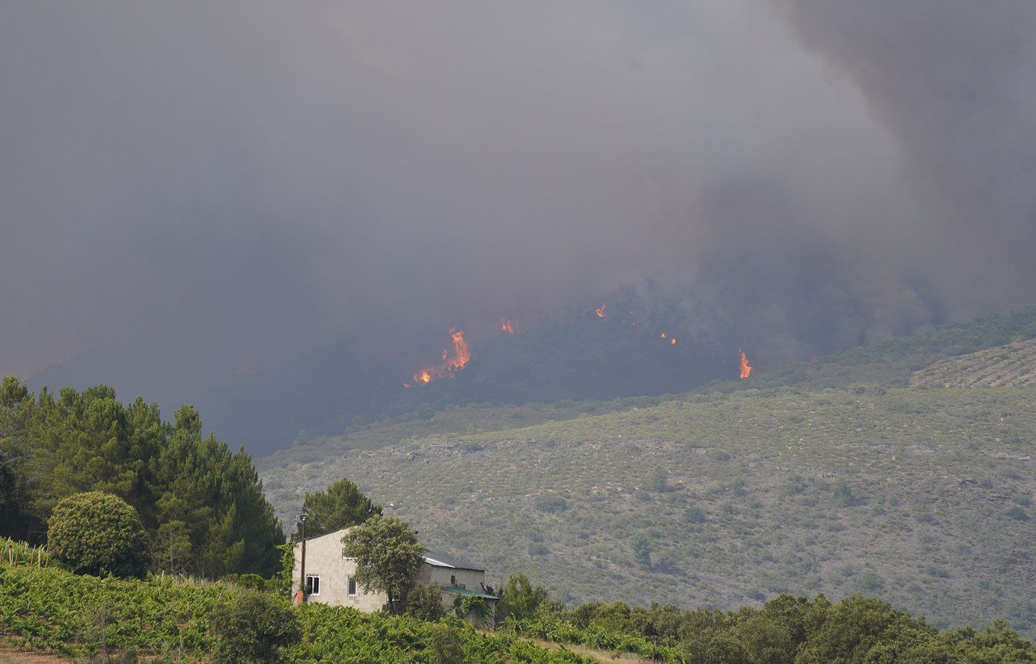 Incendio en la localidad de San Vicente Incendio en la localidad de San Vicente