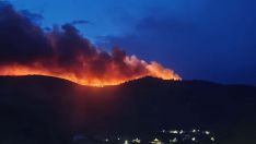 Incendio en Cobrana (Congosto)