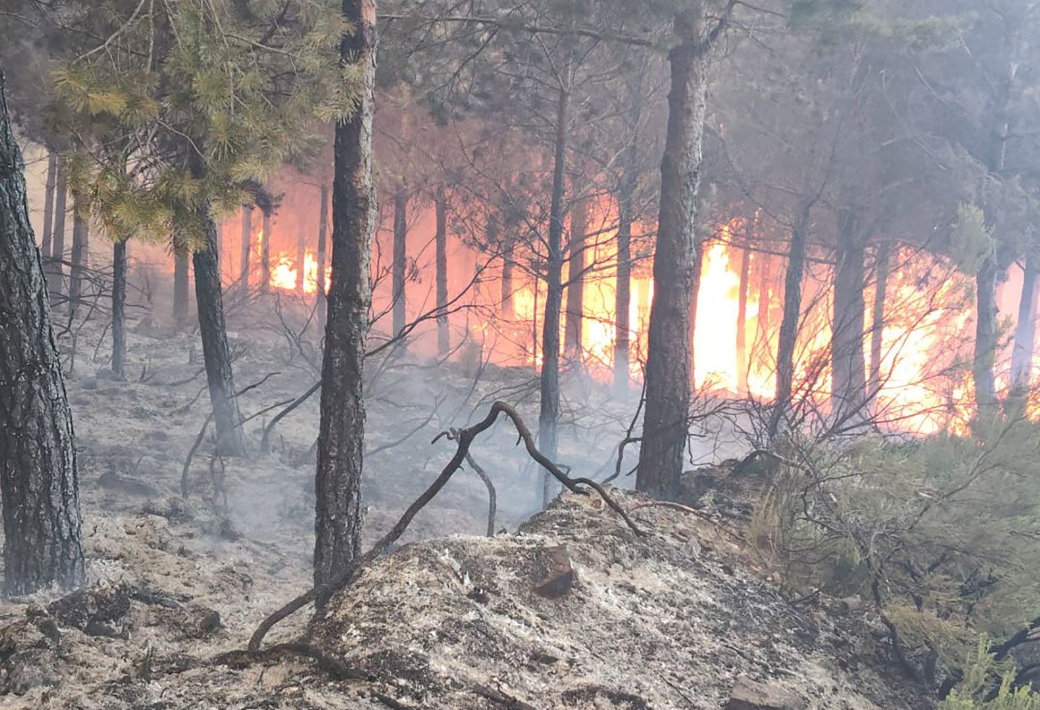 Incendio de Cobrana en Congosto