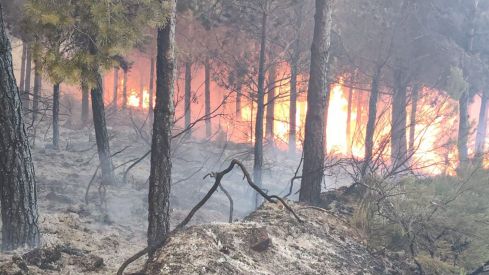 Incendio de Cobrana en Congosto
