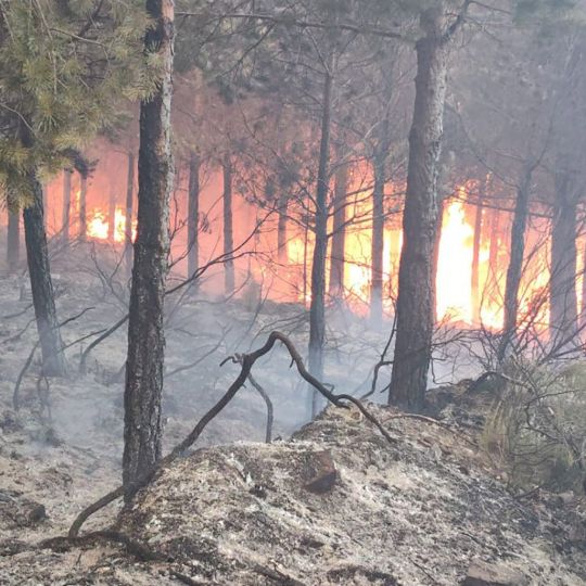 Incendio de Cobrana en Congosto