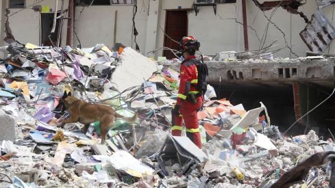 Labores de rescate en terremoto | ICAL