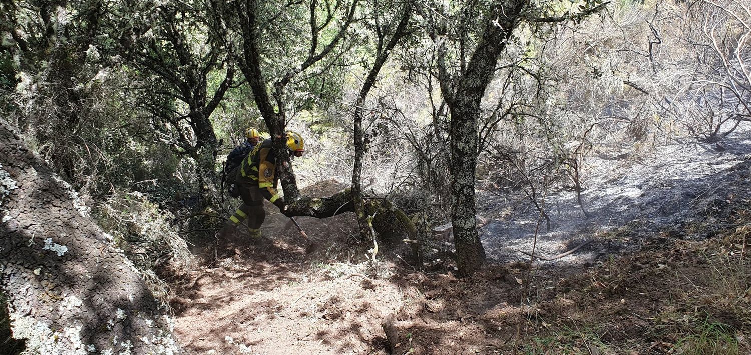Incendio en San Vicente