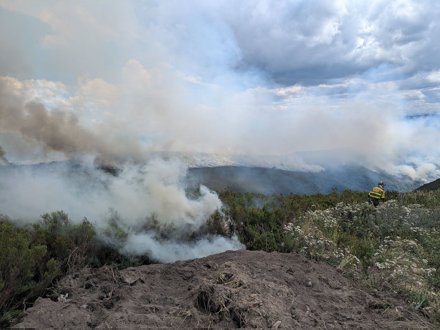 Incendio en Vega de Valcarce