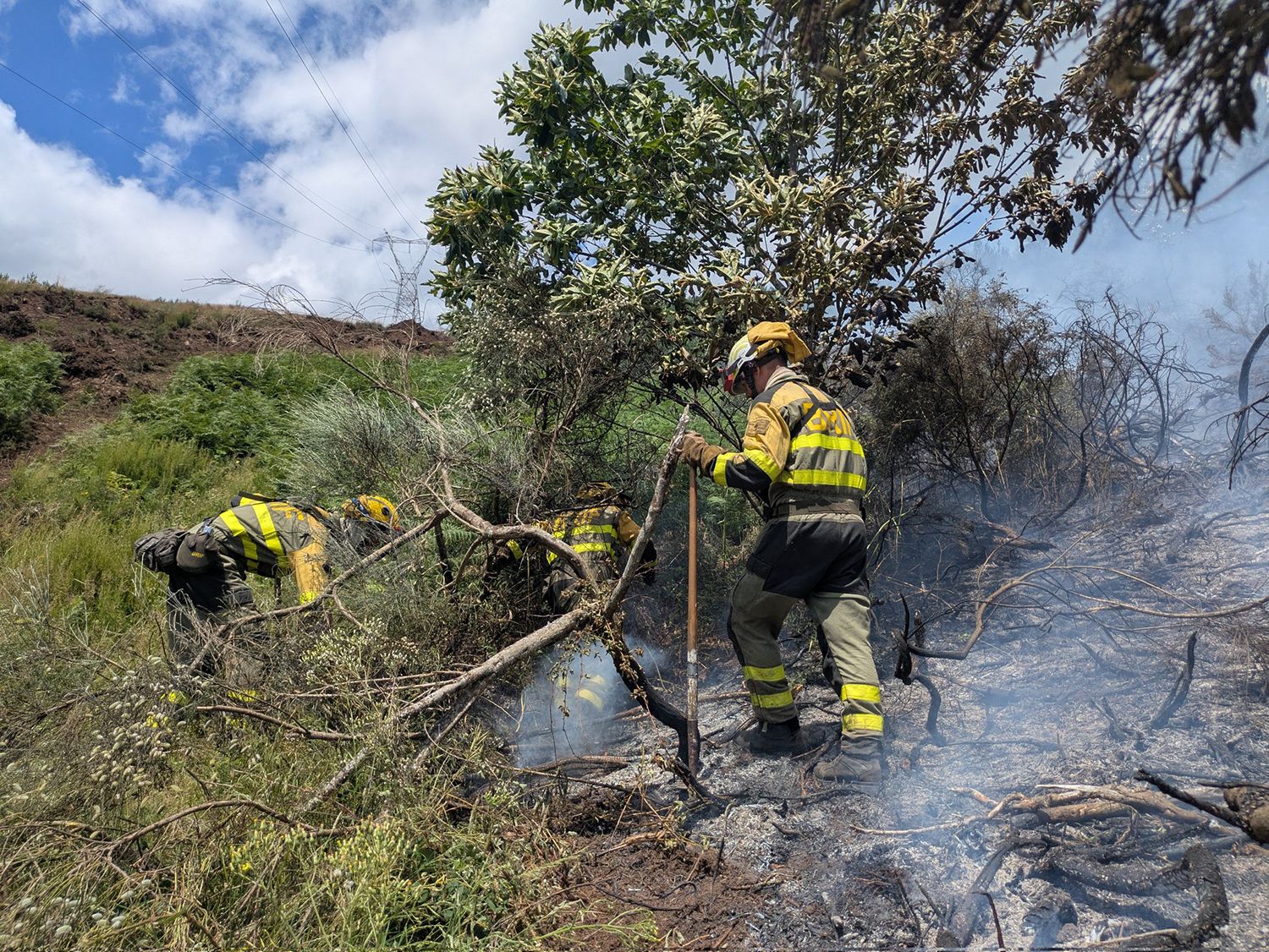 Bomberos forestales durante las labores de extinción