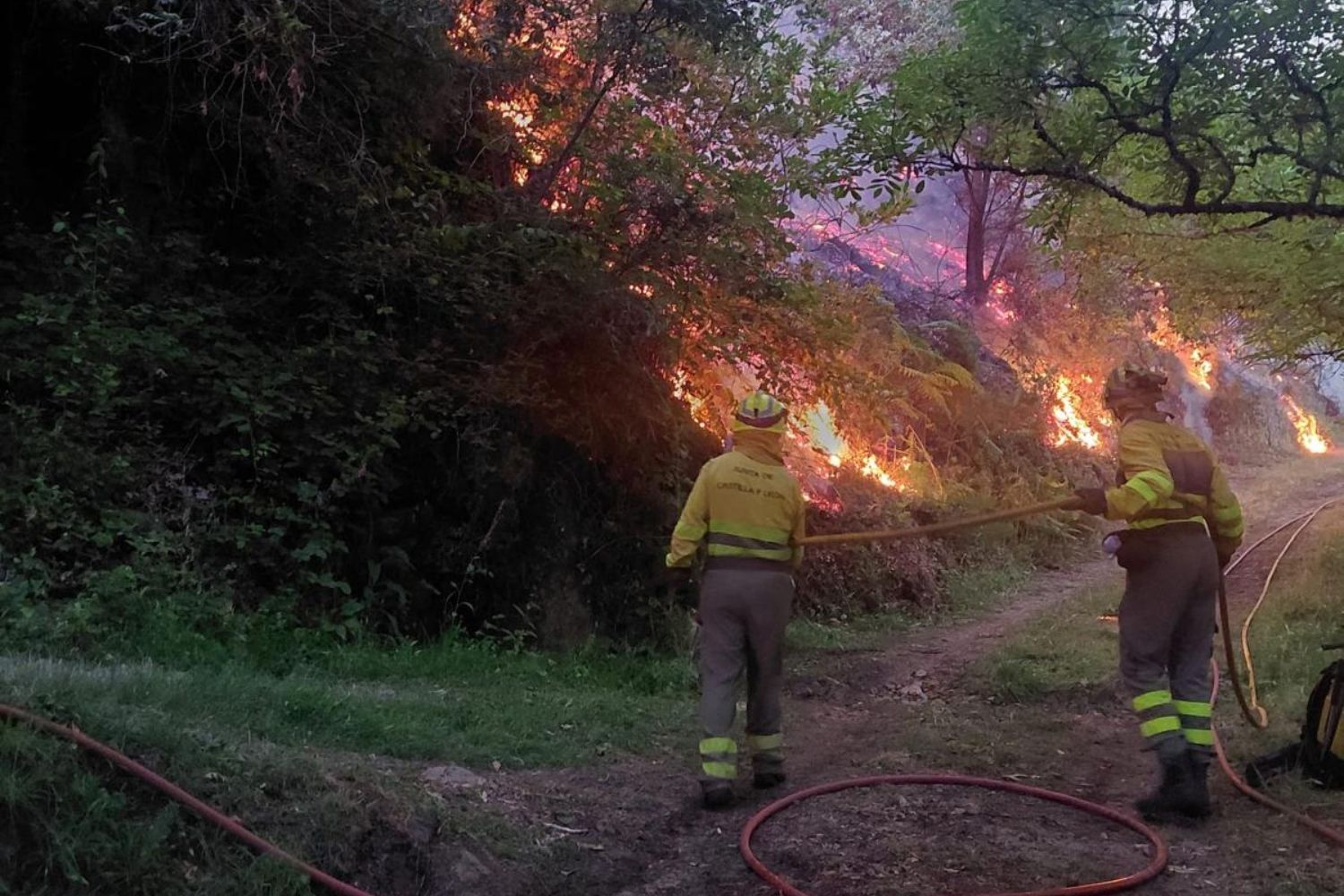 Intervención de los bomberos forestales en el incendio de Pradela | Cedida a InfoBierzo Intervención de los bomberos forestales en el incendio de Pradela | Cedida a InfoBierzo
