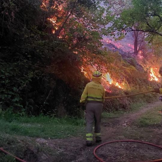 Intervención de los bomberos forestales en el incendio de Pradela | Cedida a InfoBierzo Intervención de los bomberos forestales en el incendio de Pradela | Cedida a InfoBierzo
