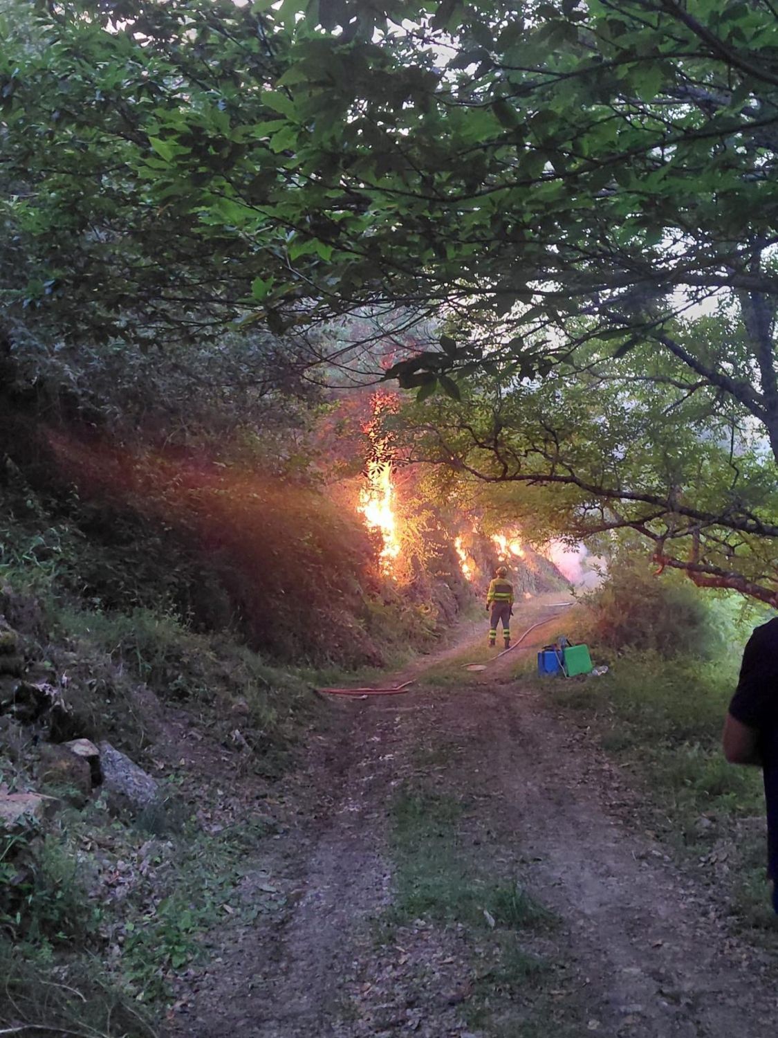 Intervención de los bomberos forestales en el incendio de Pradela (Vertical) | Cedida a InfoBierzo