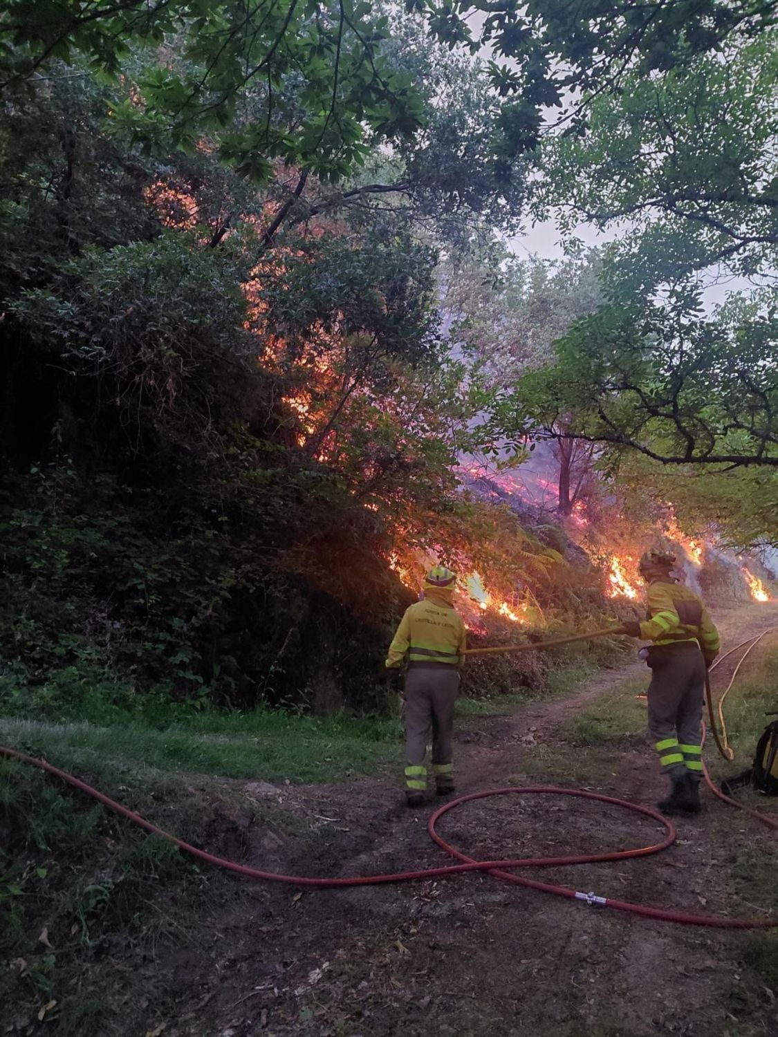 Intervención de los bomberos forestales en el incendio de Pradela (Vertical) | Cedida a InfoBierzo