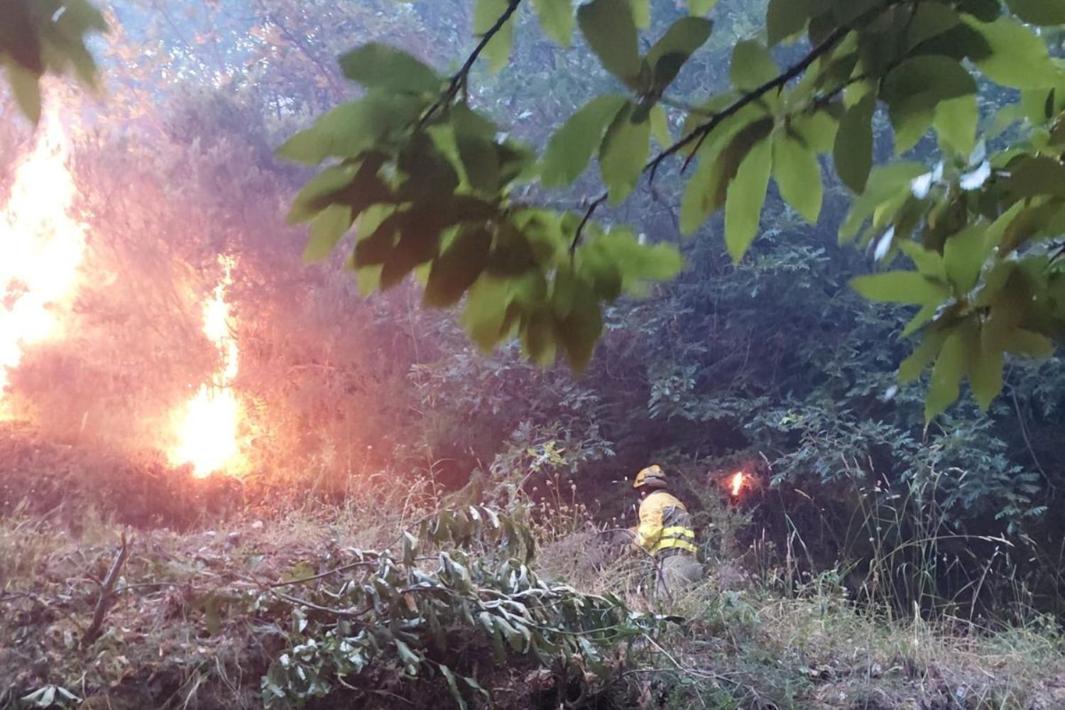 Intervención de los bomberos forestales en el incendio de Pradela | Cedida a InfoBierzo
