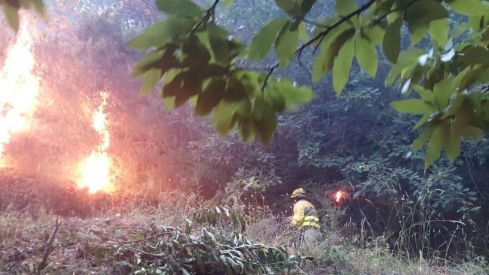 Intervención de los bomberos forestales en el incendio de Pradela | Foto: Cedida a InfoBierzo