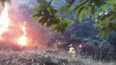 Intervención de los bomberos forestales en el incendio de Pradela | Foto: Cedida a InfoBierzo