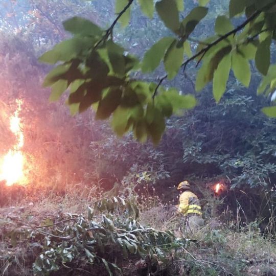 Intervención de los bomberos forestales en el incendio de Pradela | Foto: Cedida a InfoBierzo Intervención de los bomberos forestales en el incendio de Pradela | Foto: Cedida a InfoBierzo