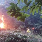 Intervención de los bomberos forestales en el incendio de Pradela | Foto: Cedida a InfoBierzo