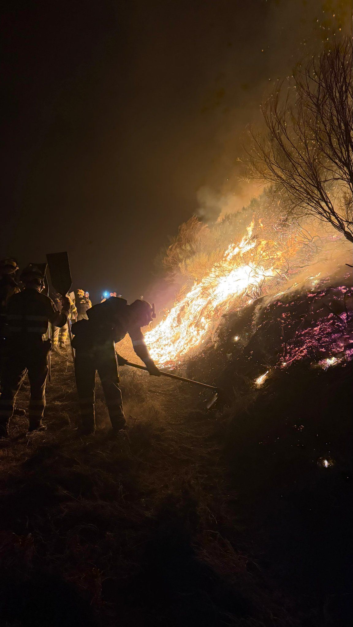 Trabajo nocturno de las BRIF Laza y Tineo en el incendio de Pradela (Vertical) | ATBrif