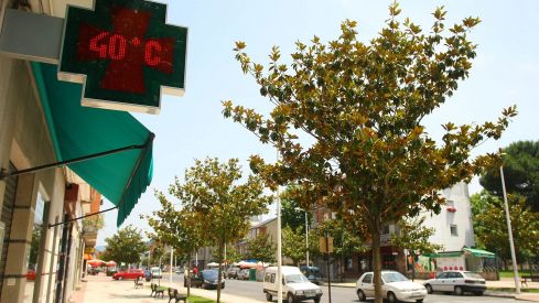 Ola de calor en Ponferrada | Foto: César Sánchez, ICAL 