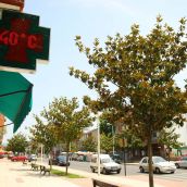 Ola de calor en Ponferrada | Foto: César Sánchez, ICAL 