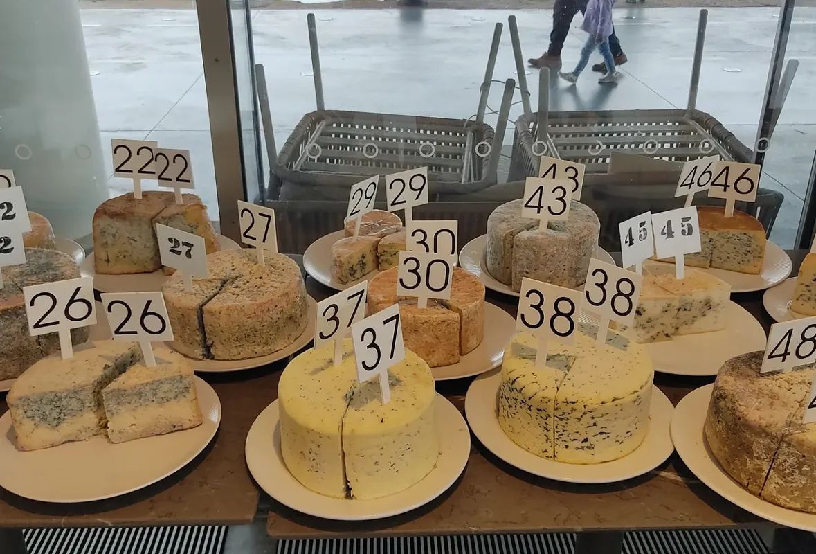 Degustación de distintos quesos durante el concurso