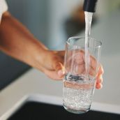 Grifo de agua | Foto: Istock. Autor: Jacob Wackerhausen