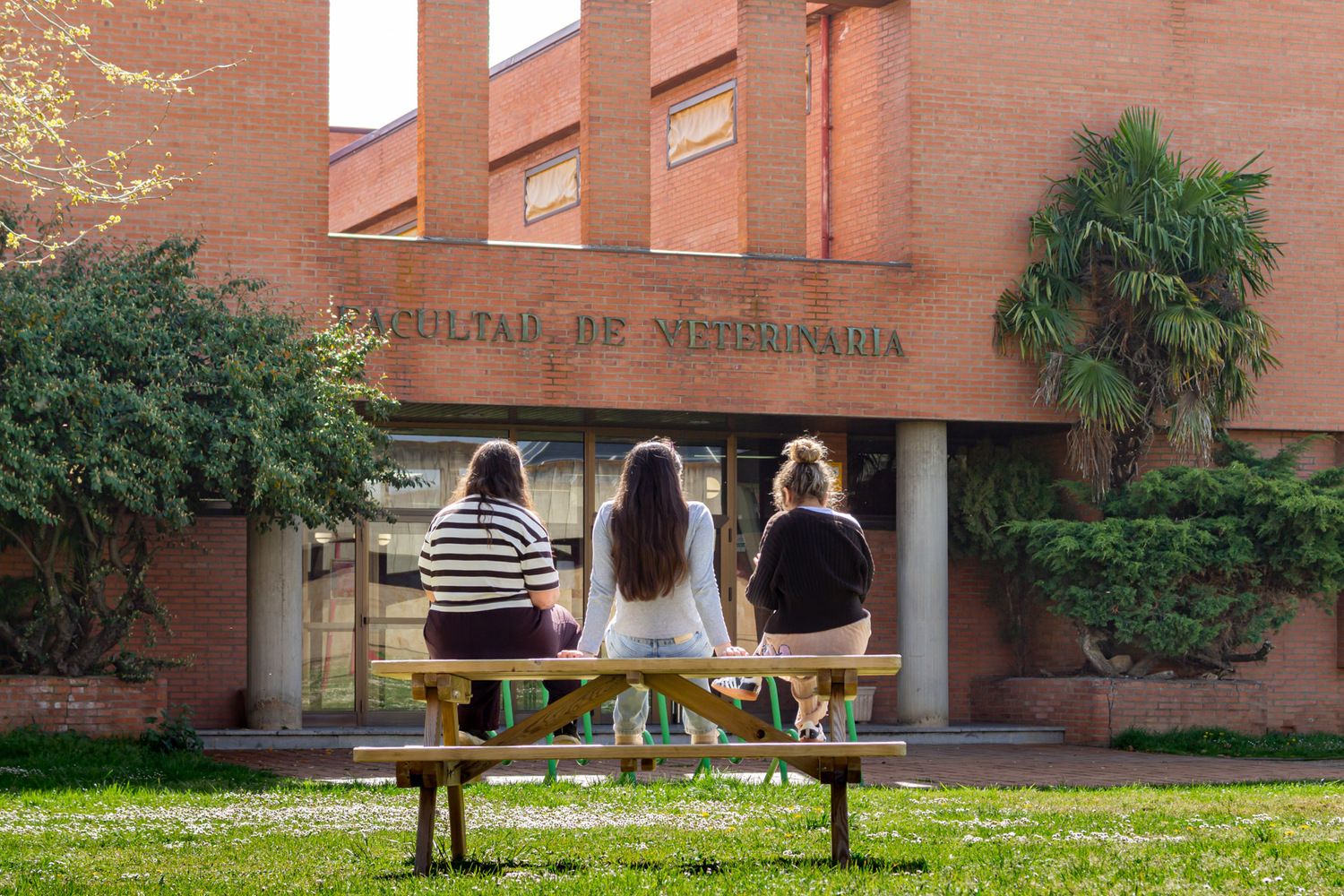 Medicina arrasa en su estreno en la ULE con más de 5.400 solicitudes para 80 plazas Medicina arrasa en su estreno en la ULE con más de 5.400 solicitudes para 80 plazas