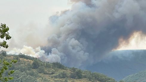 Asciende a nivel 1 el incendio de Espina de Tremor Asciende a nivel 1 el incendio de Espina de Tremor