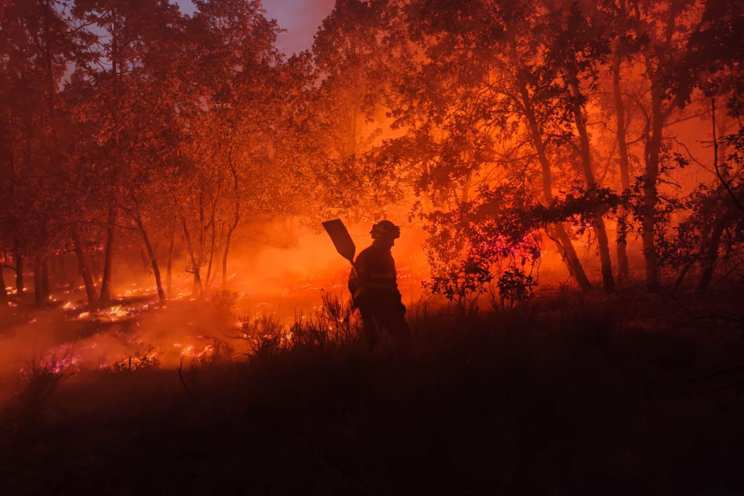El incendio de Porqueros baja a Nivel 0 después de una noche de fuego técnico para consolidar el perímetro | ATBrif El incendio de Porqueros baja a Nivel 0 después de una noche de fuego técnico para consolidar el perímetro | ATBrif