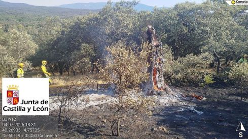 ¿Qué son los rayos latentes y cómo provocan incendios? Fotografía de una encina ardiendo | Naturaleza Castilla y León