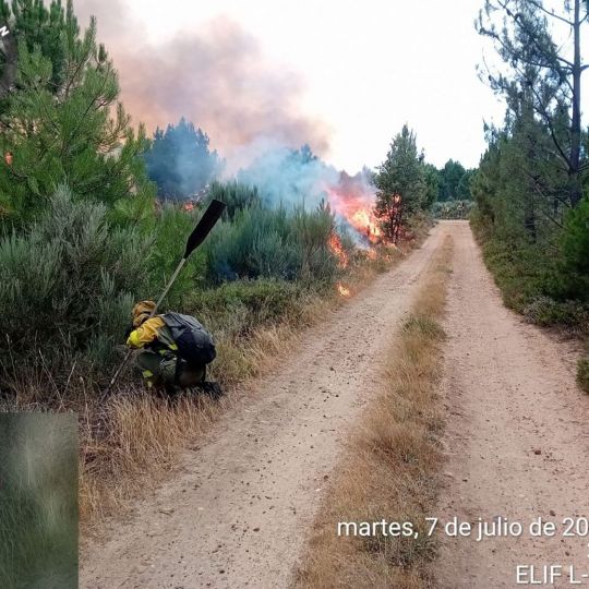Incendio forestal de Porqueros