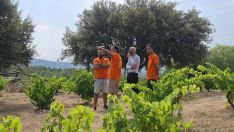 El Gobierno impulsa el relevo generacional y la innovación en el viñedo durante una nueva estancia del Programa Cultiva en El Bierzo