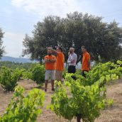 El Gobierno impulsa el relevo generacional y la innovación en el viñedo durante una nueva estancia del Programa Cultiva en El Bierzo